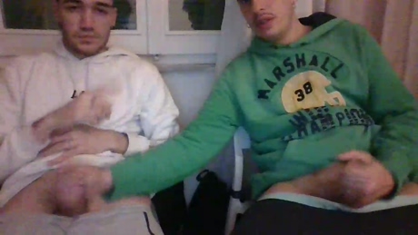leomicaly  19-04-2022